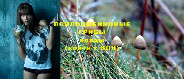 стафф Белокуриха