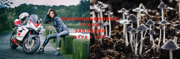 крисы Беломорск
